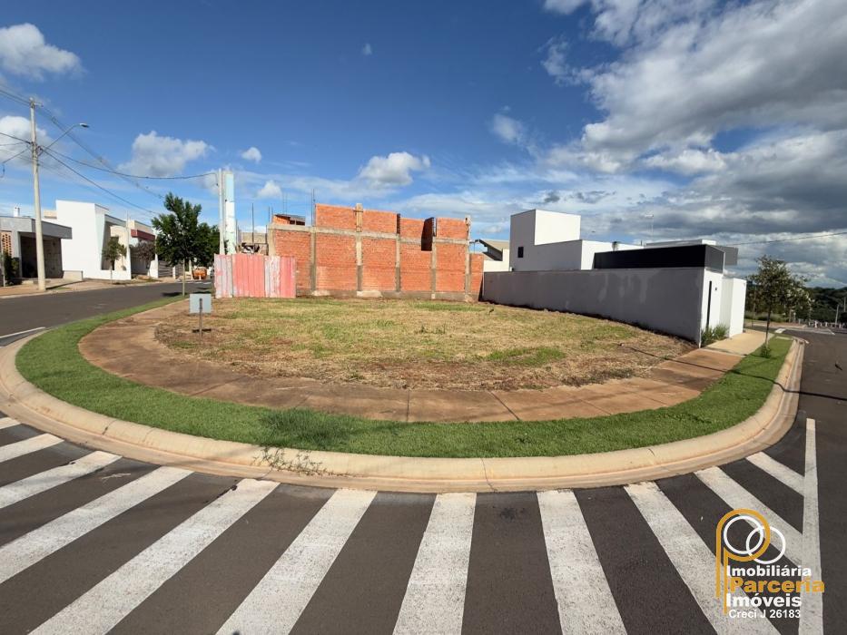 WhatsApp Image 2026-02-10 at 18.26.31 (1).jpeg